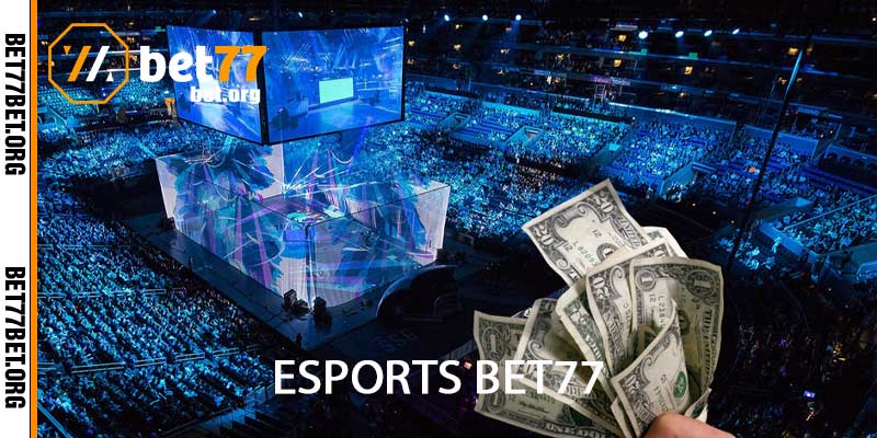 esports bet77